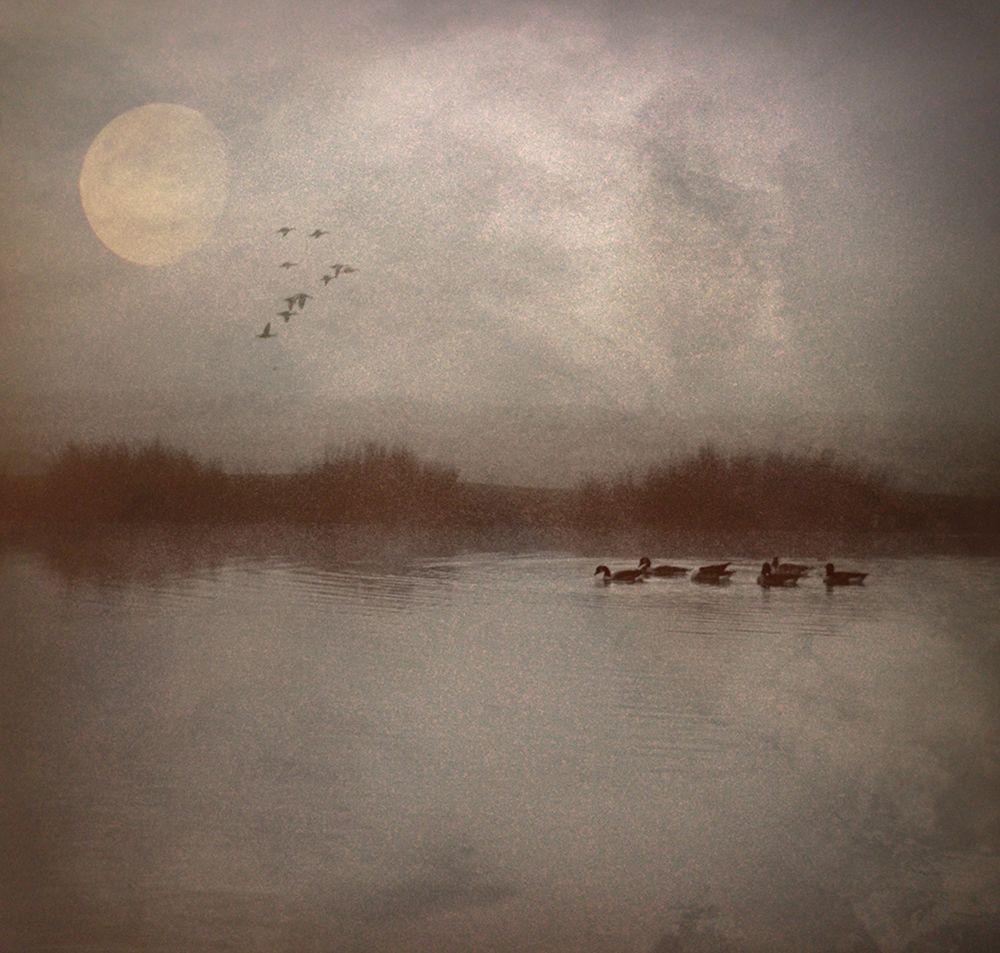 Some Mornings... art print by Robert Fabrowski for $57.95 CAD