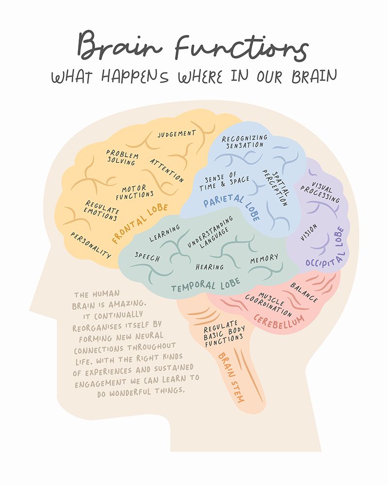 Brainfunctions art print by Beth Cai for $57.95 CAD