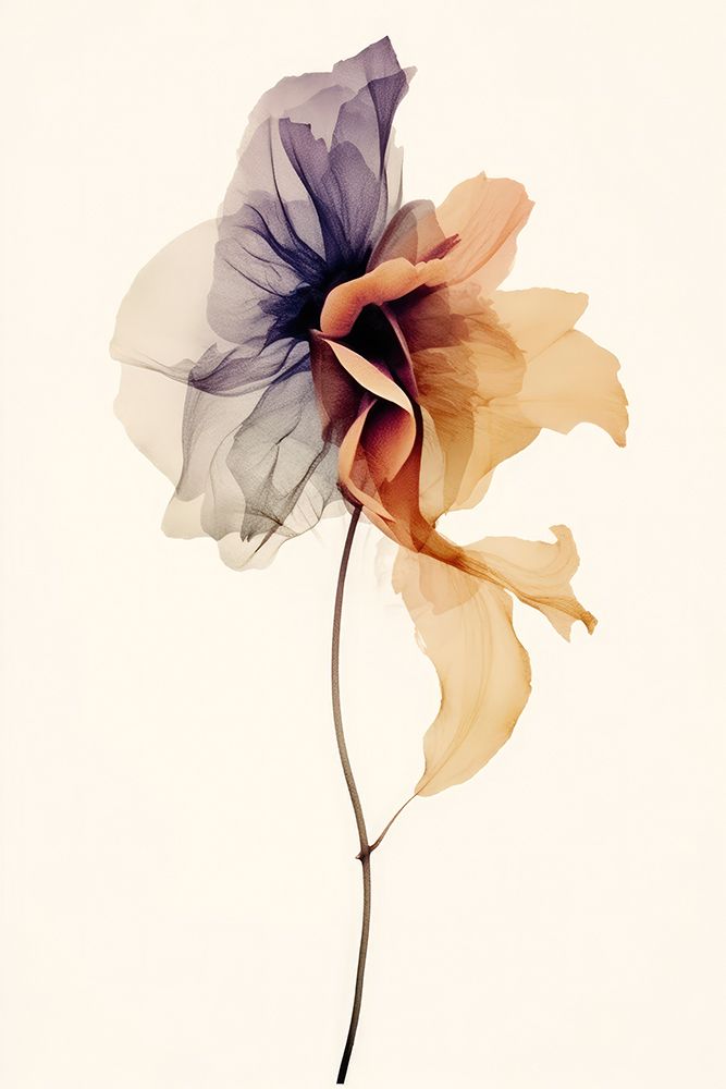Chiffon Flower art print by Treechild for $57.95 CAD