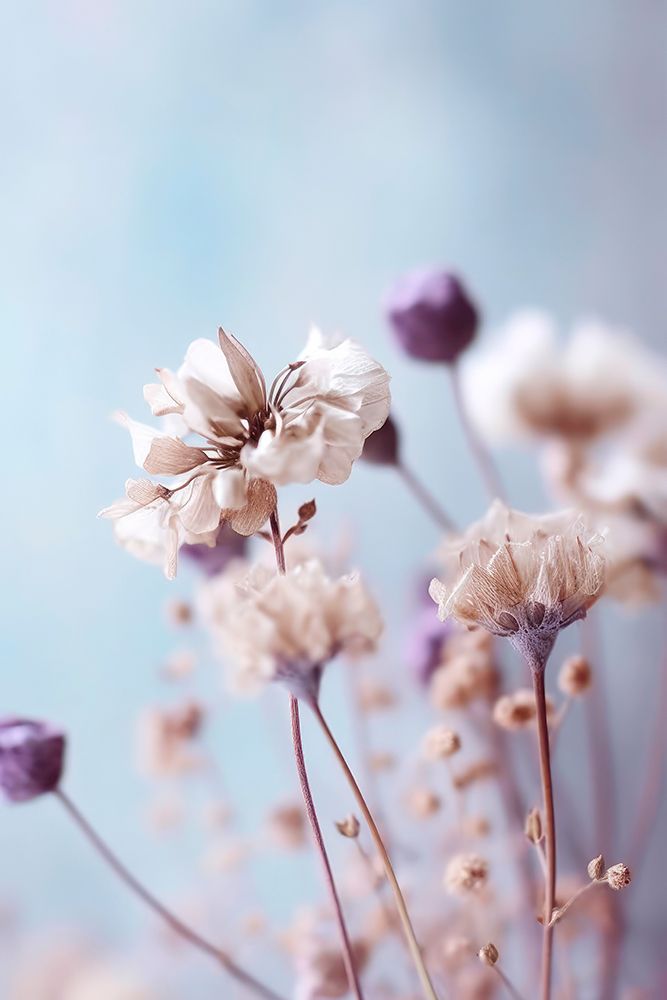 Pastel Dry Flowers No 4 art print by Treechild for $57.95 CAD