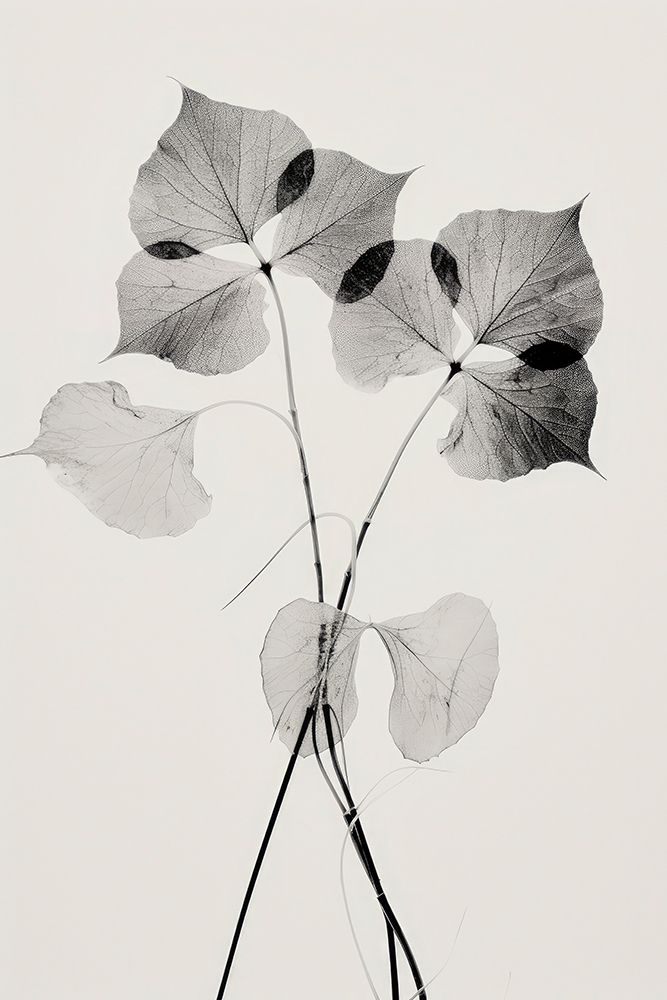 Transparent Botanic No 2 art print by Treechild for $57.95 CAD