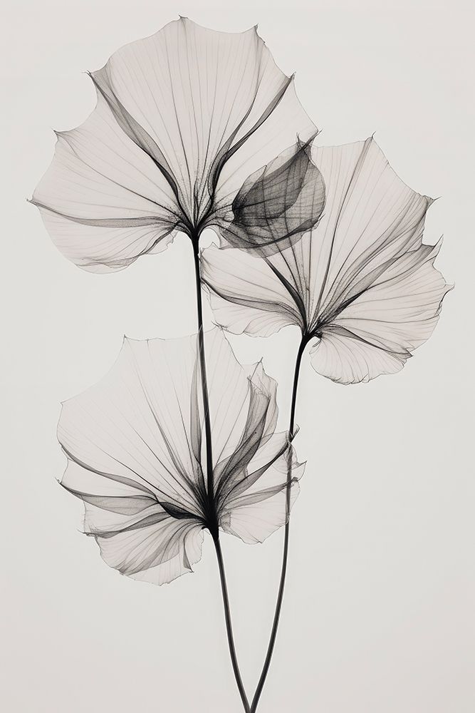 Transparent Botanic No 3 art print by Treechild for $57.95 CAD