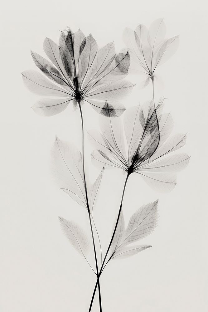 Transparent Botanic No 4 art print by Treechild for $57.95 CAD