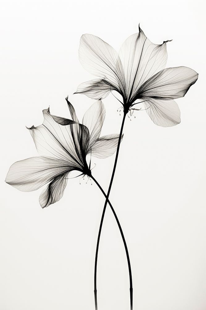 Transparent Botanic No 6 art print by Treechild for $57.95 CAD