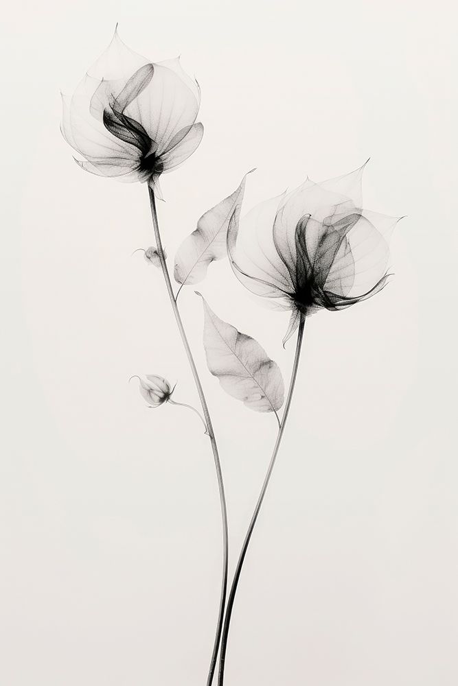 Transparent Botanic No 7 art print by Treechild for $57.95 CAD