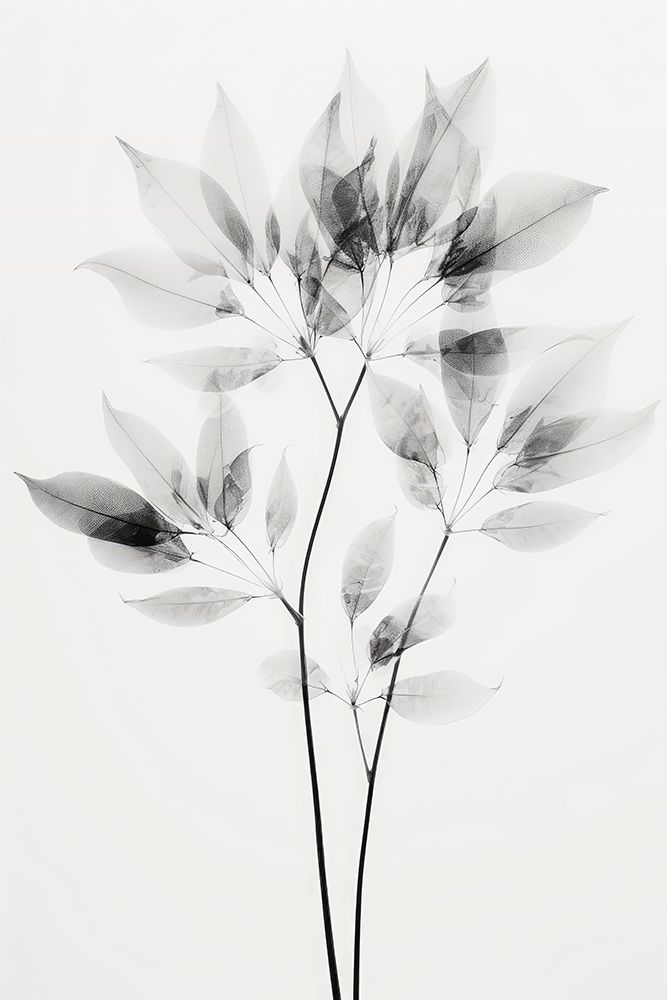 Transparent Botanic No 8 art print by Treechild for $57.95 CAD