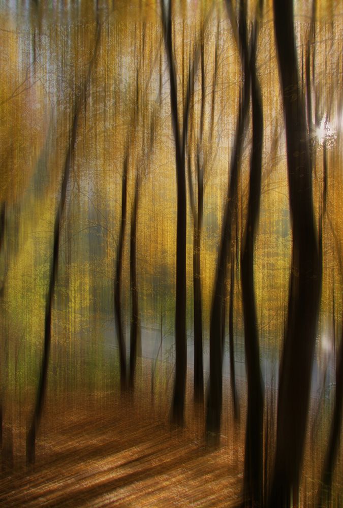 Autumn Park art print by Alexander Kiyashko for $57.95 CAD