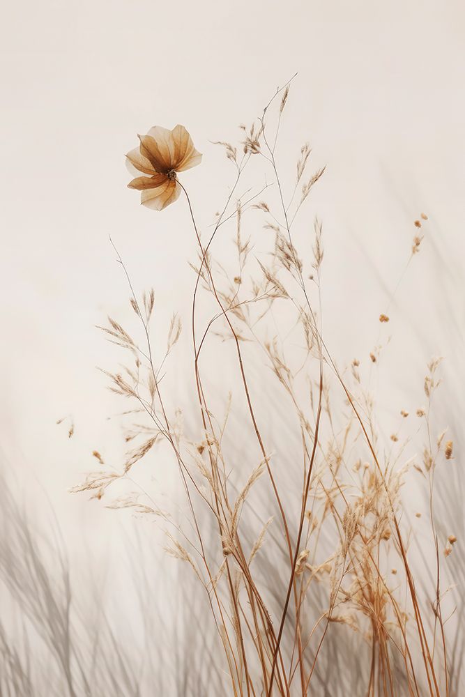 In Silence art print by Treechild for $57.95 CAD