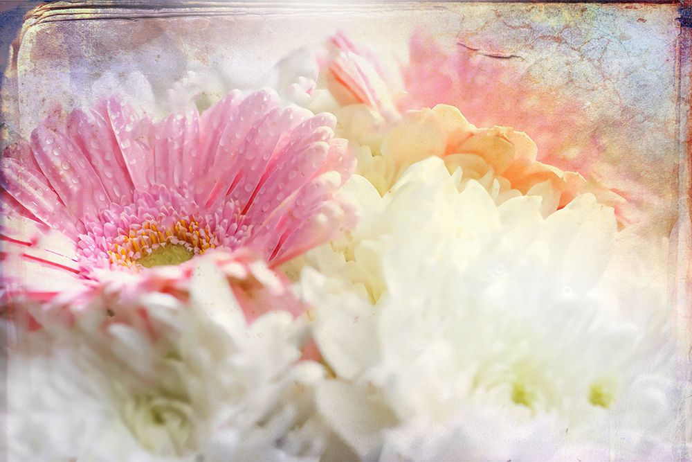 Ombre045flower art print by Rafal Kulik for $57.95 CAD