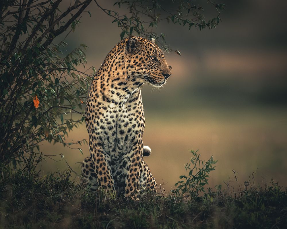 Dots art print by Ahmed Sobhi for $57.95 CAD