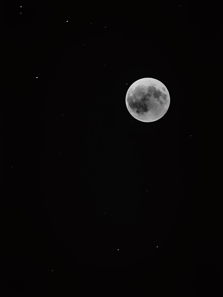 Luna art print by Ryan Braxton for $57.95 CAD