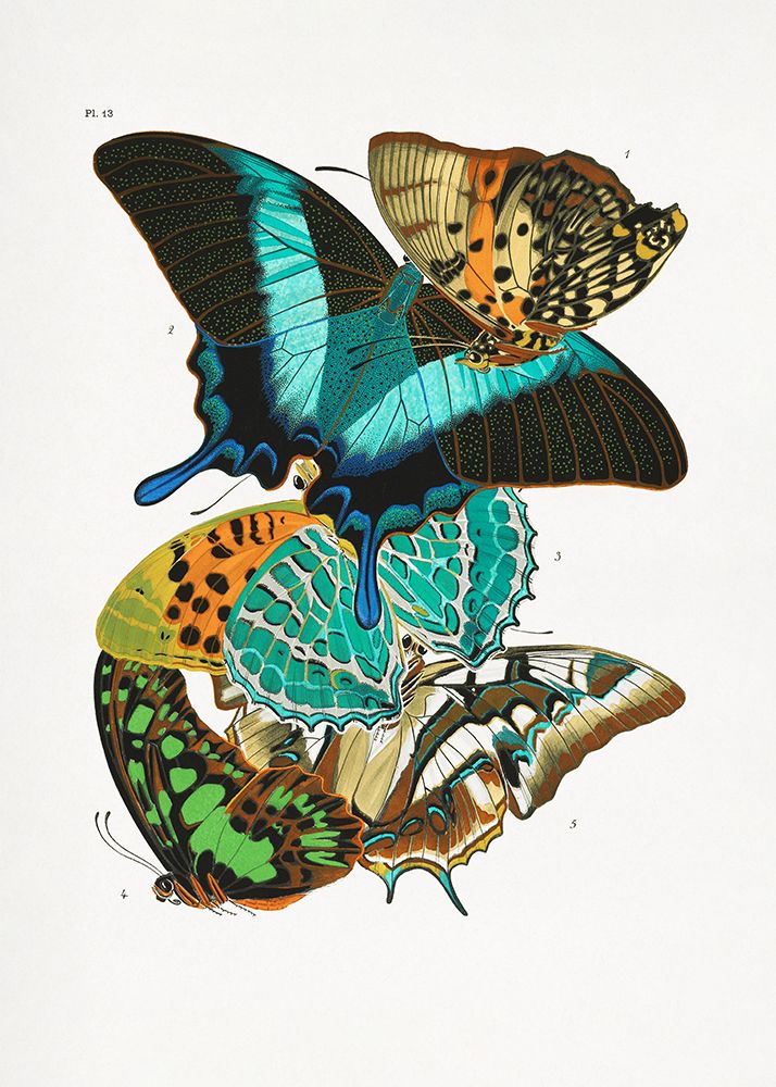 Butterflies 5 art print by Pictufy for $57.95 CAD
