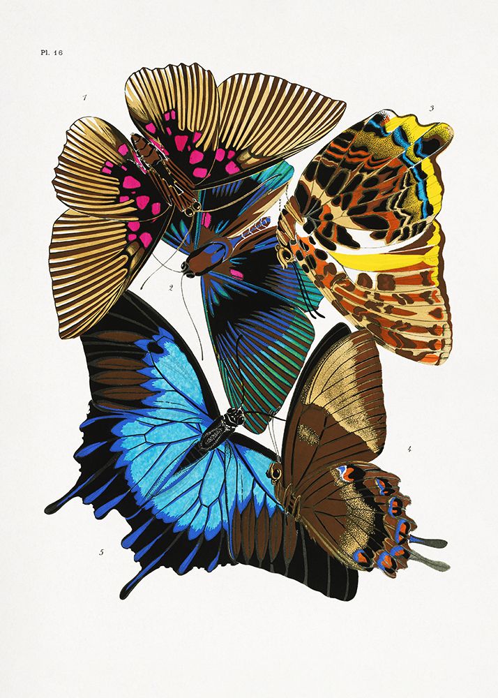 Butterflies 4 art print by Pictufy for $57.95 CAD