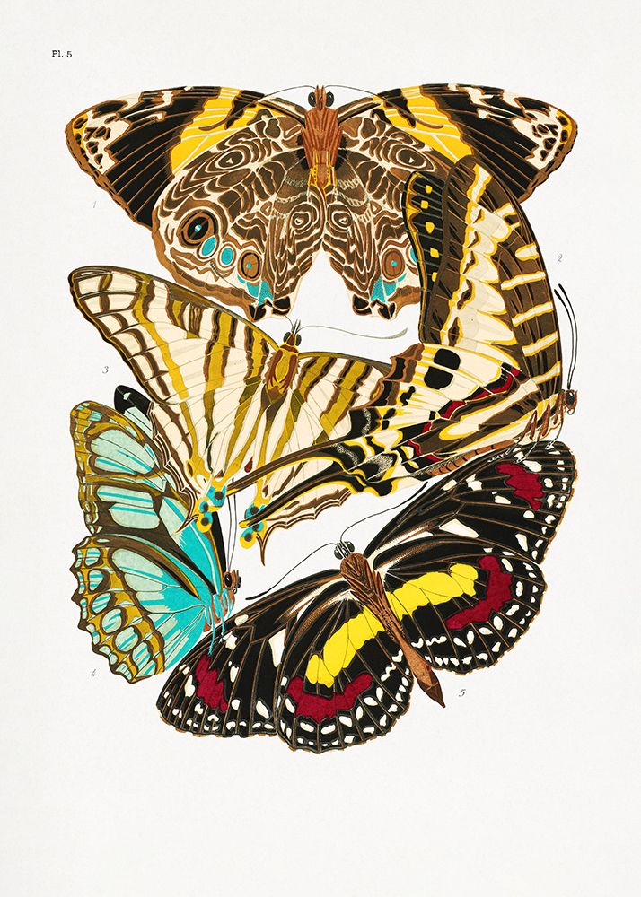Butterflies 10 art print by Pictufy for $57.95 CAD