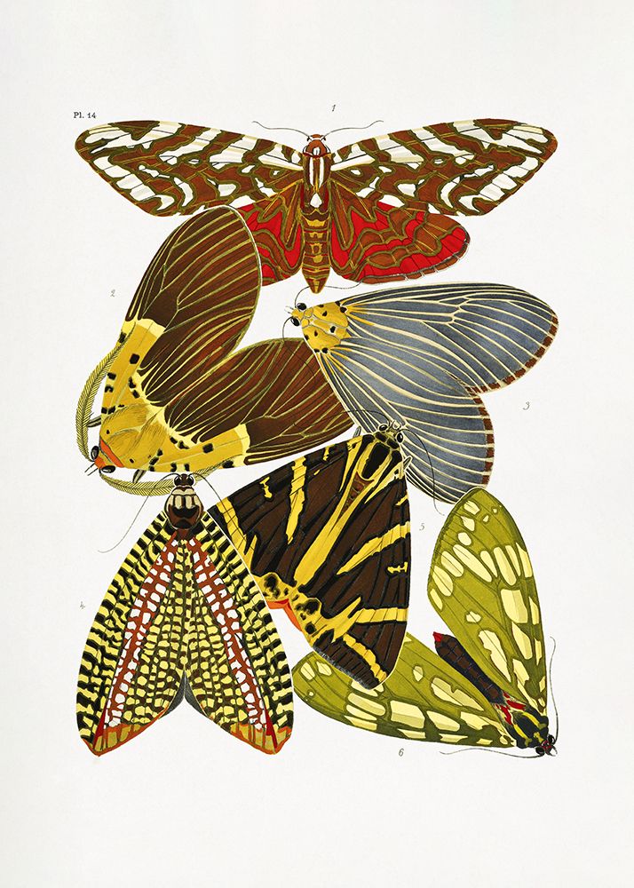 Butterflies 6 art print by Pictufy for $57.95 CAD
