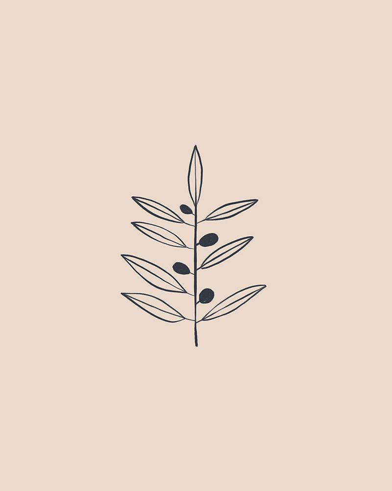 Olive Branche art print by Sophie Bek for $57.95 CAD