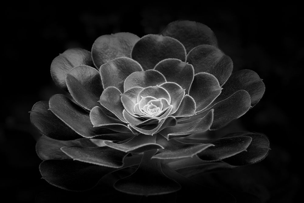 Layering art print by Twee Liang Wong for $57.95 CAD