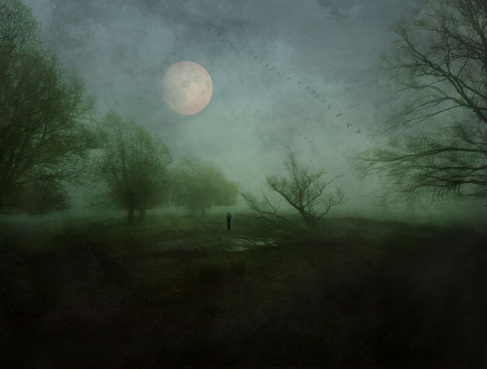 Some Mornings... art print by Robert Fabrowski for $57.95 CAD