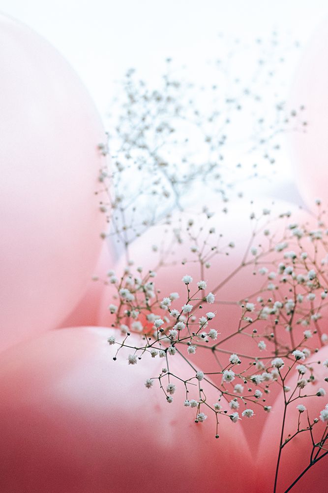 Blooms And Balloons - Moment Like This art print by uplusmestudio for $57.95 CAD