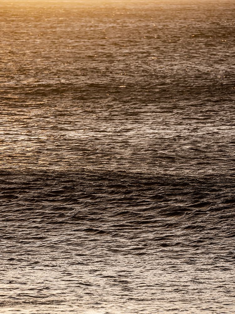 Amber art print by Shot by Clint for $57.95 CAD