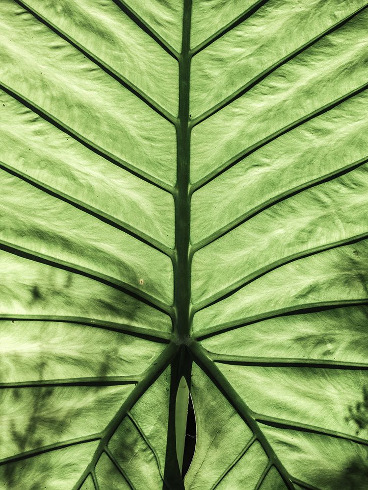Blaar art print by Shot by Clint for $57.95 CAD