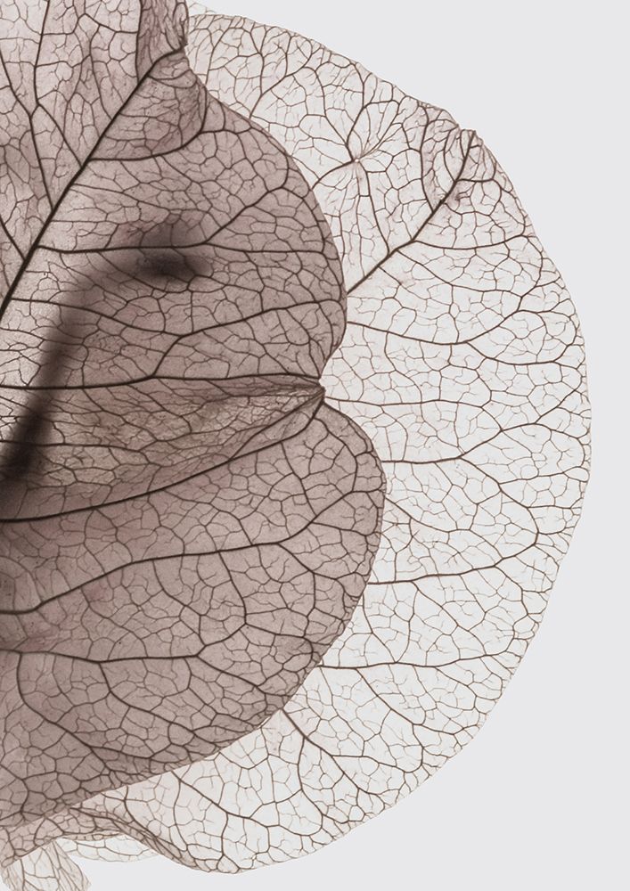 Bougainvillea Island art print by Shot by Clint for $57.95 CAD