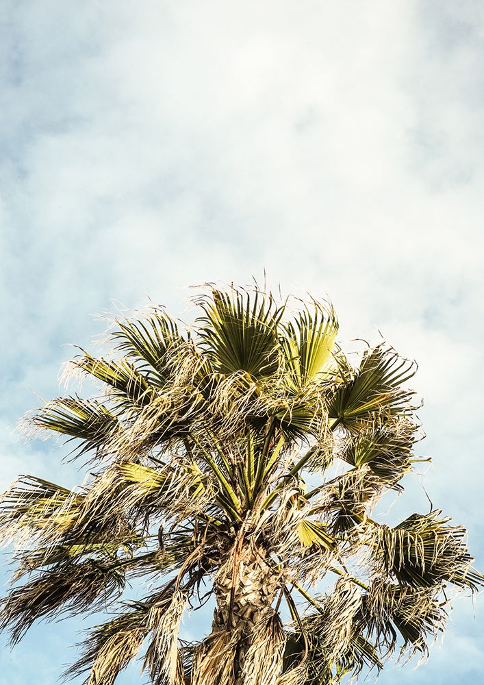 Breezy art print by Shot by Clint for $57.95 CAD