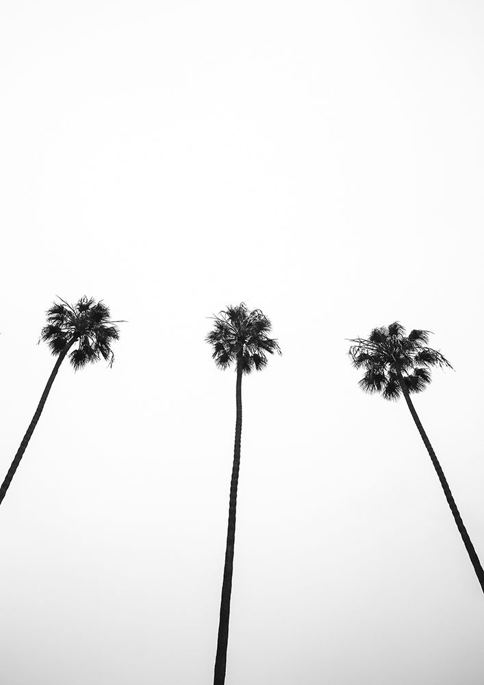 Cali Cathedrals 02 art print by Shot by Clint for $57.95 CAD
