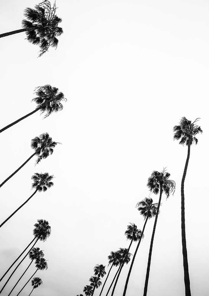 Cali Cathedrals 03 art print by Shot by Clint for $57.95 CAD
