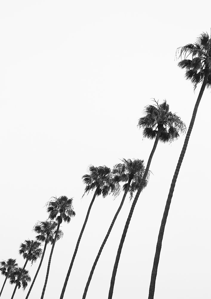 Cali Cathedrals 04 art print by Shot by Clint for $57.95 CAD