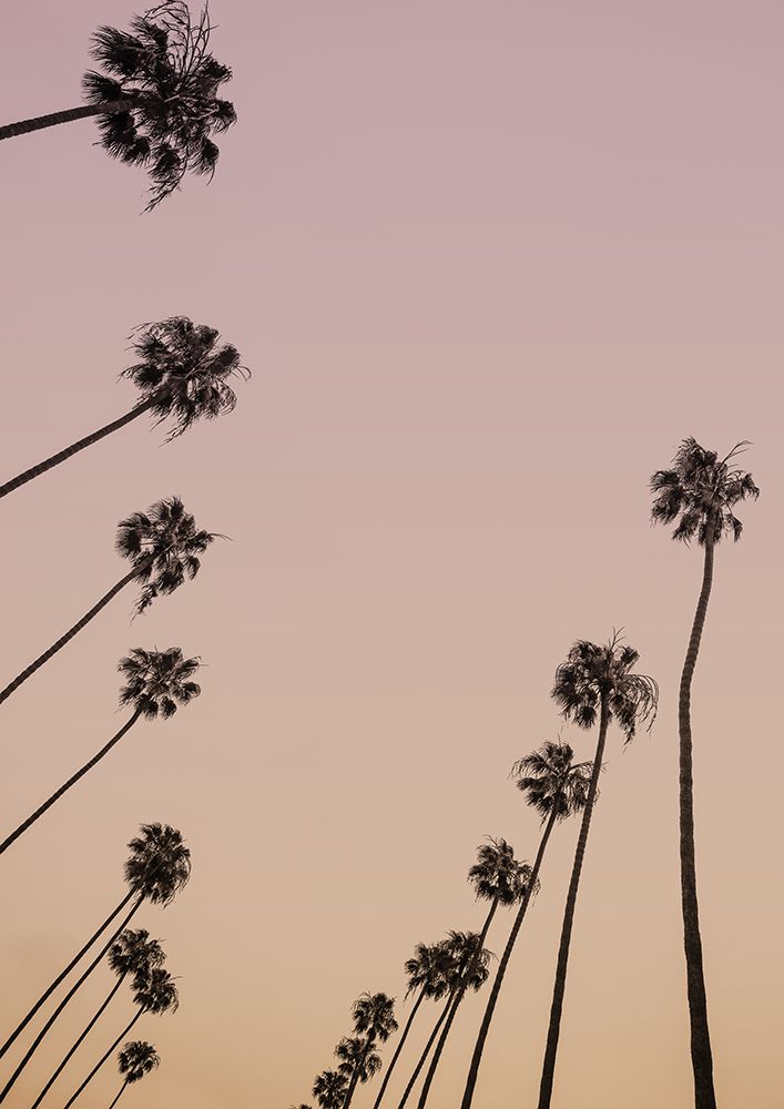 Cali Cathedrals 05 art print by Shot by Clint for $57.95 CAD