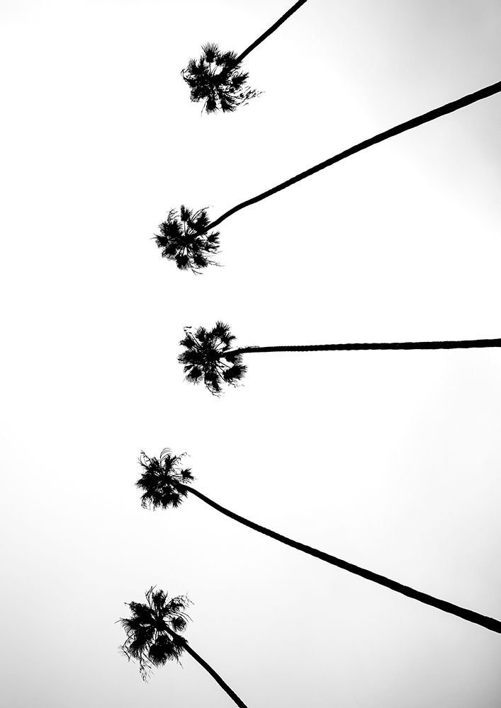 Cali Cathedrals 06 art print by Shot by Clint for $57.95 CAD