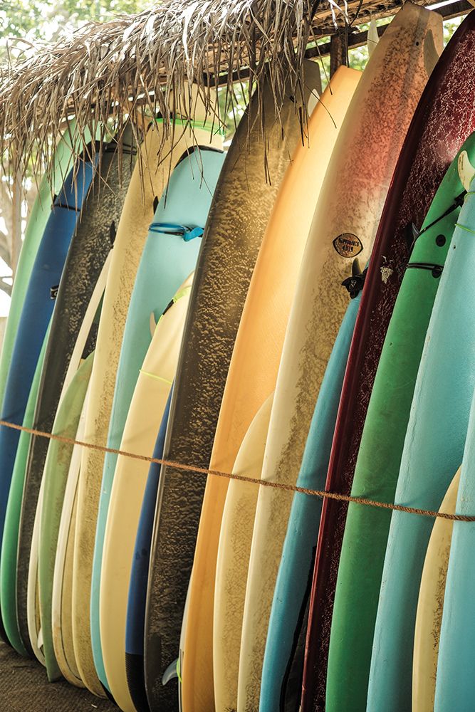 Ceylone Sliders art print by Shot by Clint for $57.95 CAD