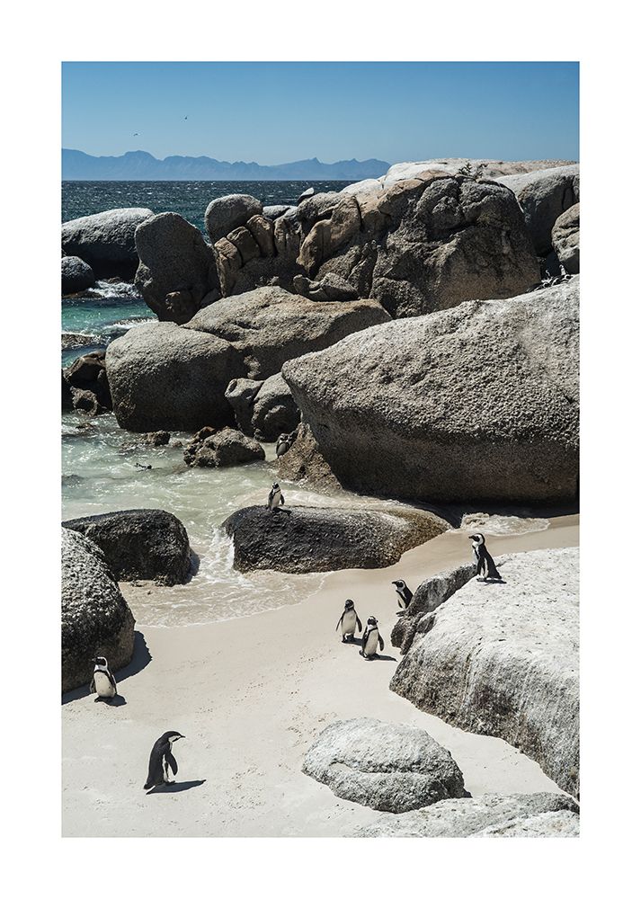 Chilling art print by Shot by Clint for $57.95 CAD