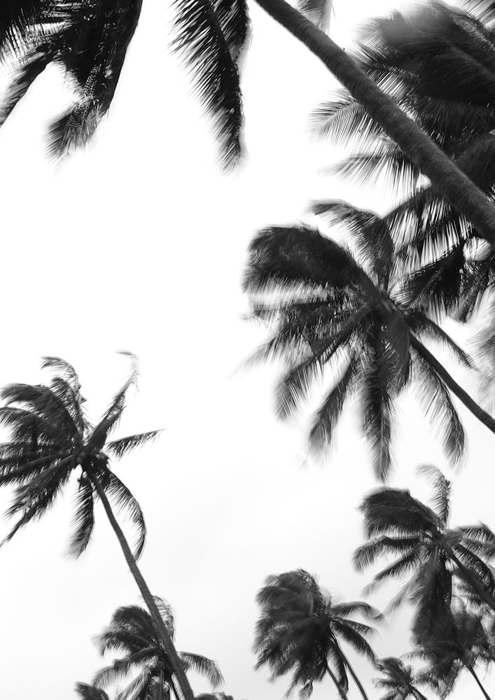 Coco Island No3 art print by Shot by Clint for $57.95 CAD