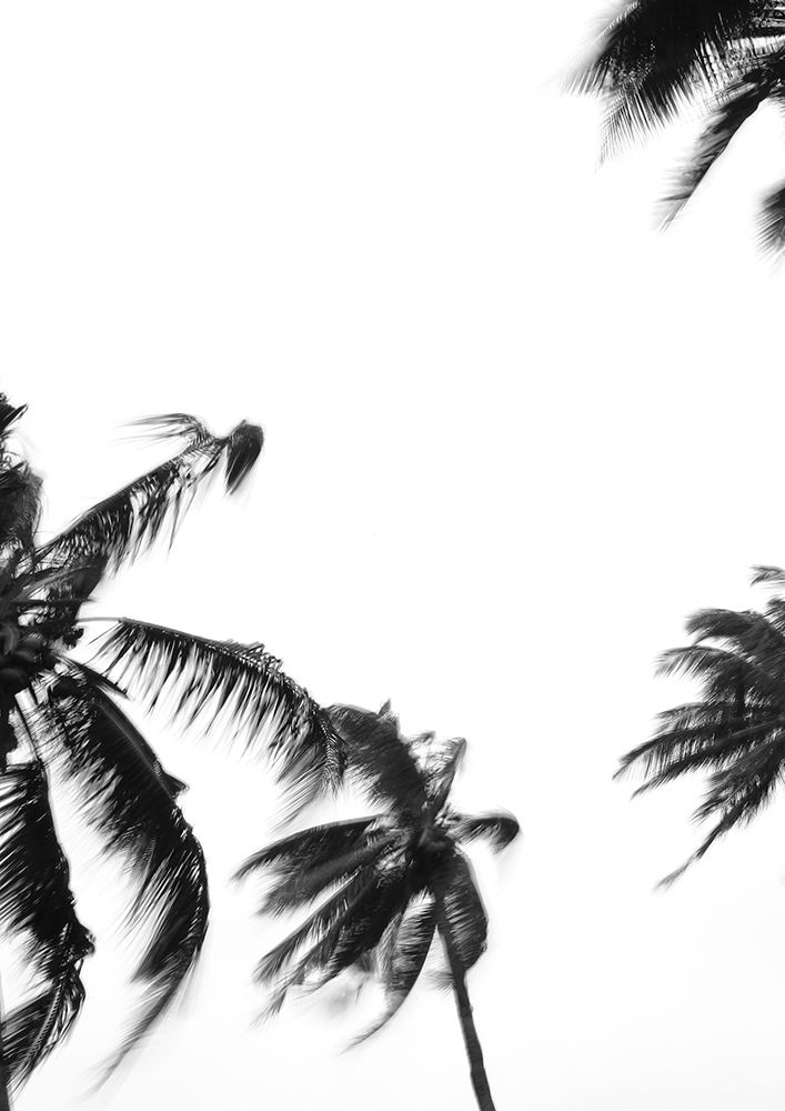 Coco Island No4 art print by Shot by Clint for $57.95 CAD
