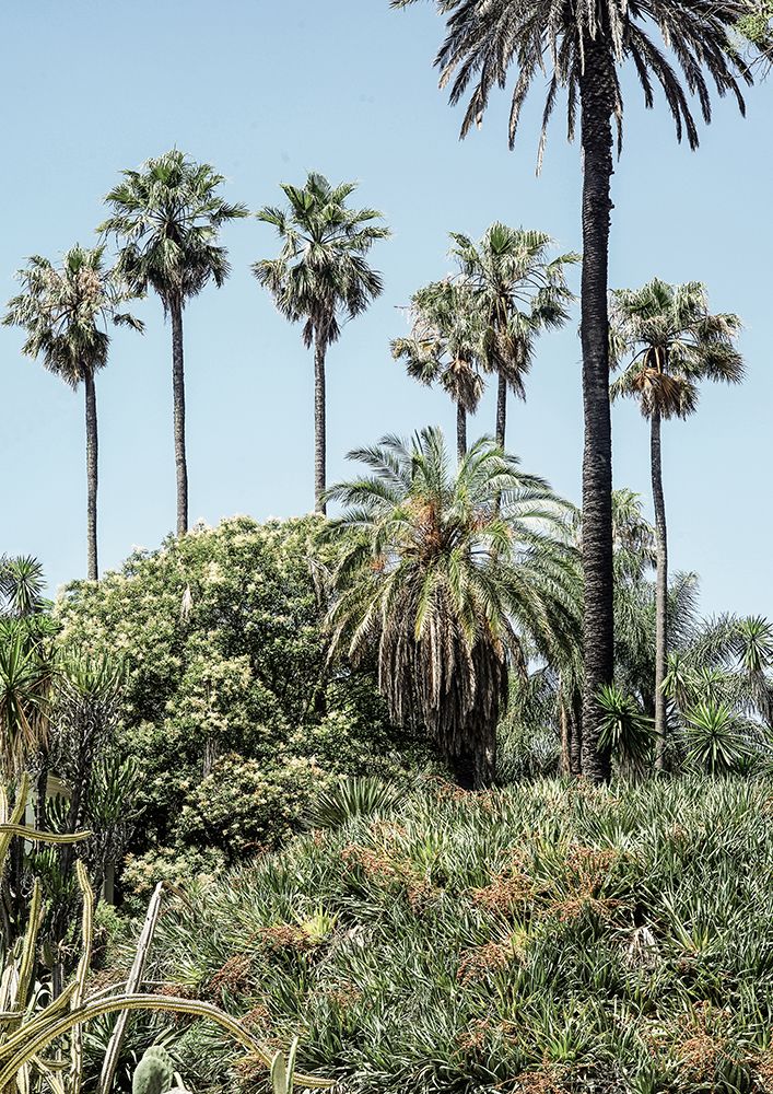 Collectors Garden art print by Shot by Clint for $57.95 CAD