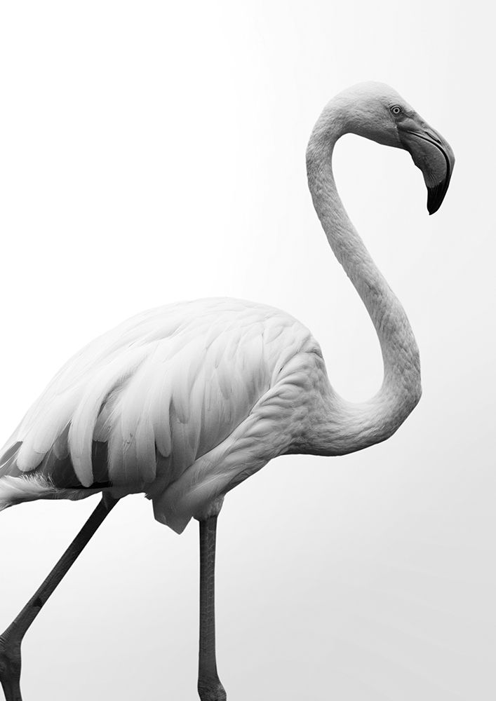 Dancer art print by Shot by Clint for $57.95 CAD