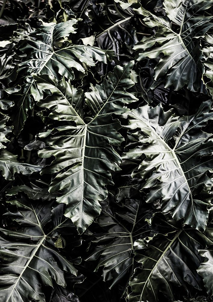 Delious Monster art print by Shot by Clint for $57.95 CAD