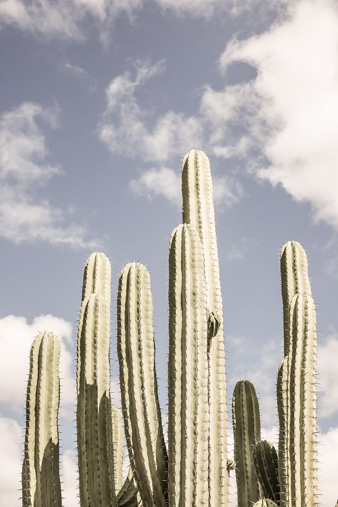 Desert Cathedral No2 art print by Shot by Clint for $57.95 CAD