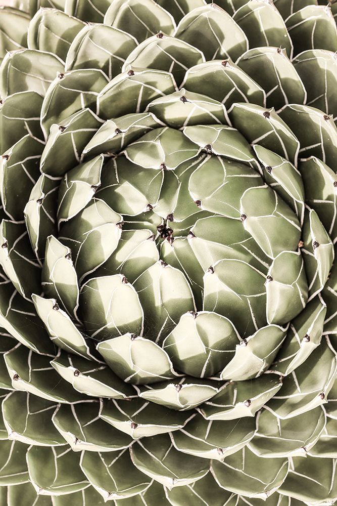 Desert Heart art print by Shot by Clint for $57.95 CAD