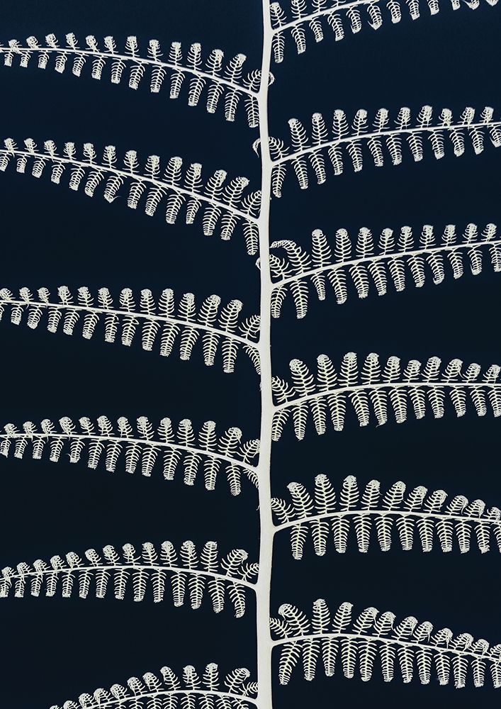 Fern art print by Shot by Clint for $57.95 CAD