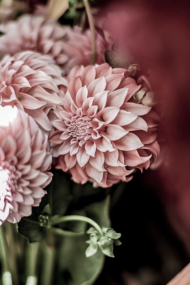 Flower Market art print by Shot by Clint for $57.95 CAD