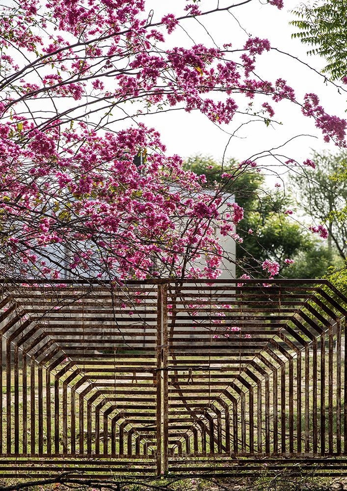 Garden Gate art print by Shot by Clint for $57.95 CAD