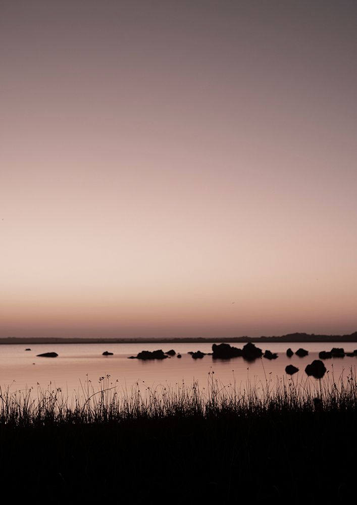 Golden art print by Shot by Clint for $57.95 CAD