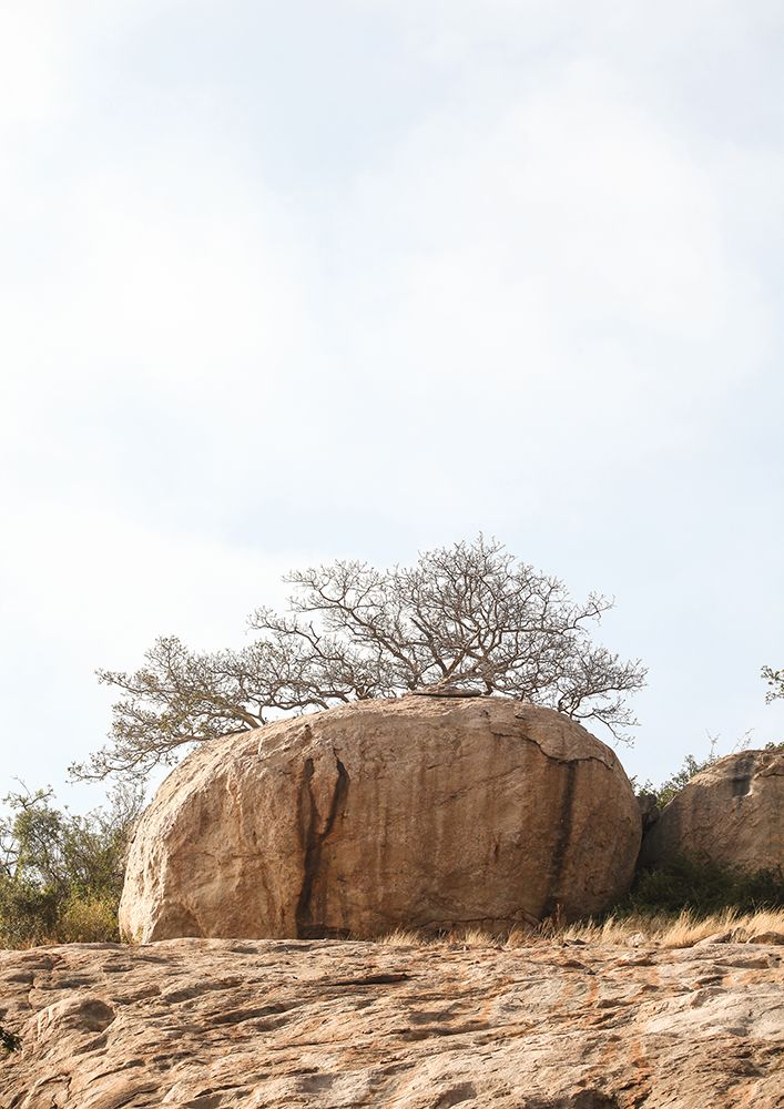Highveld 01 art print by Shot by Clint for $57.95 CAD