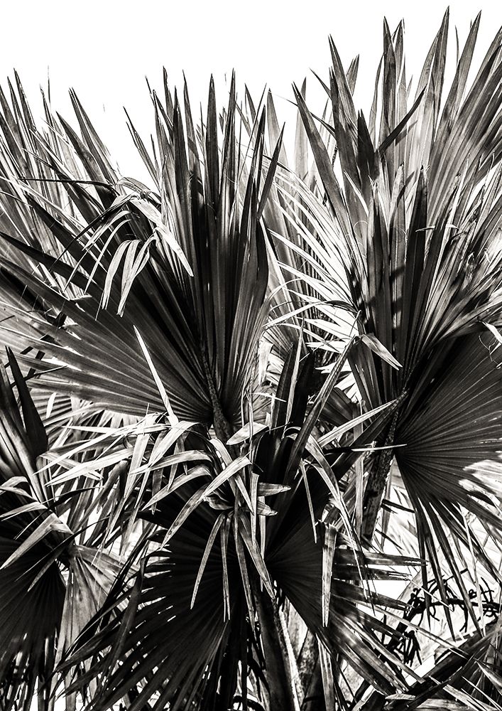 Ifafa 01 art print by Shot by Clint for $57.95 CAD