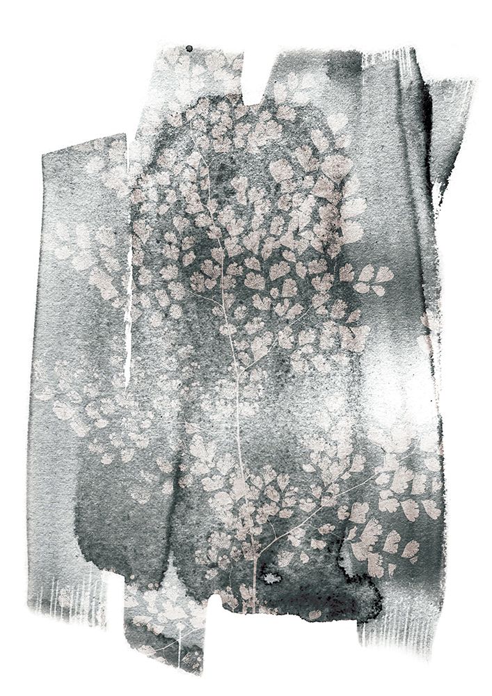 Imperfect Fern art print by Shot by Clint for $57.95 CAD