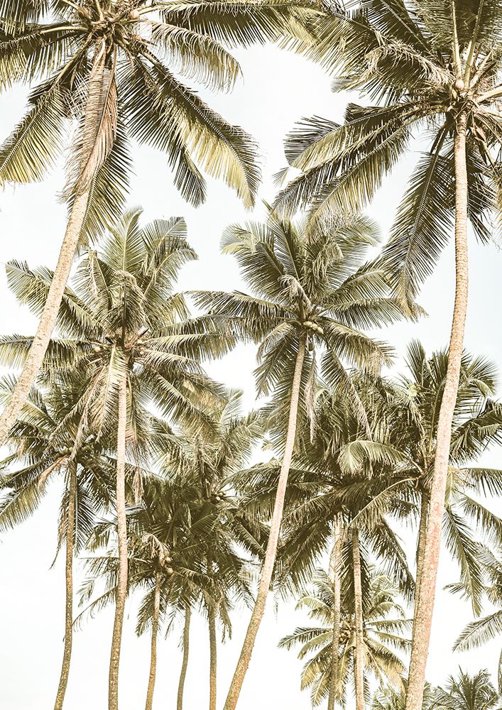 Island Bliss art print by Shot by Clint for $57.95 CAD