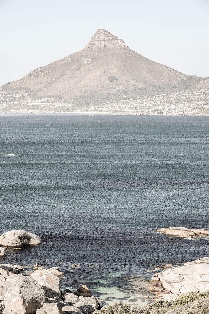 Lions Head art print by Shot by Clint for $57.95 CAD